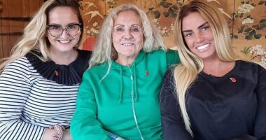 Katie Price's family were reportedly left 'stunned' after discovering her surprise engagement to entrepreneur Lee Andrews on social media, just weeks after her split from JJ Slater (pictured with her mother Amy and sister Sophie)