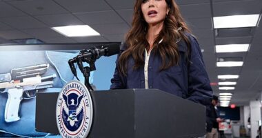 Top government officials and DHS agents are turning on Secretary Kristi Noem after she called Minneapolis shooting victim Alex Pretti a 'domestic terrorist' and claimed that he intended to 'massacre' immigration enforcement agents