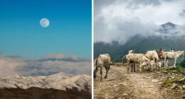 Kufri: The Quieter Side Of Himachal That Stole My Heart