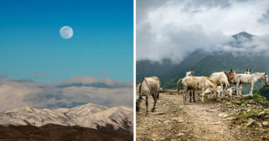 Kufri: The Quieter Side Of Himachal That Stole My Heart