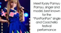 Kyary Pamyu Pamyu: Bio And Career Highlights