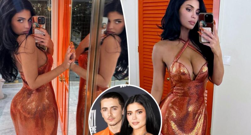 Kylie Jenner and Timothée Chalamet take major step in relationship after nearly three years of dating