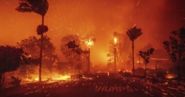 LAFD Admits Palisades Fire Report Was Edited to Protect Leadership – HotAir