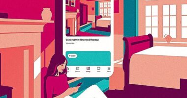 LIZ JONES: I've decided to rent out my spare room on Airbnb. What could possibly go wrong?