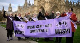 So-called 'Waspi' women have been fighting for compensation for many years. Pictured, a protest at Parliament last year
