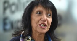 Baroness Falkner backed the new report and warned the new 'anti-Muslim hostility' proposals being considered by Labour could lead to a 'thought control problem'
