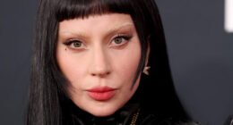 Lady Gaga Halts Concert To Deliver Bold ICE Speech That No One Saw Coming