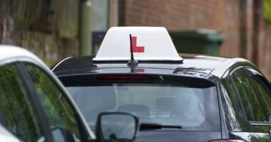 Learner drivers may have to wait six months before taking test thanks to new rules