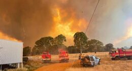Several homes have been destroyed by large bushfires in Victoria amid the worst heatwave since 2009