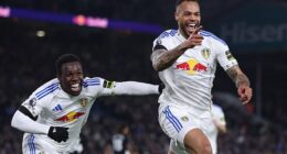 Lukas Nmecha (right) came off the bench to be the hero as Leeds United defeated Fulham 1-0