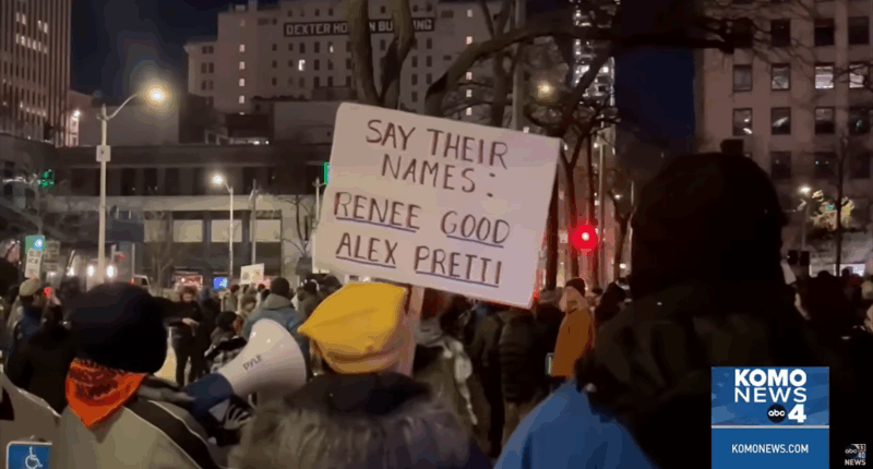 leftist Anti-ICE protester sign