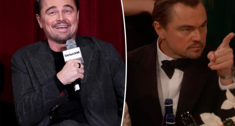 Leonardo DiCaprio won't say who he was talking to in Golden Globes clip