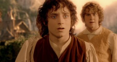 Lord of the Rings: Elijah Wood Promises "a Really Creative" Reunion Story