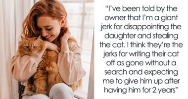 Lost Cat Goes From Street Survivor To Family Royalty, Scammy “Owner” Demands Him Back Years Later