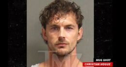 Model Christian Hogue has been charged with aggravated assault by strangulation following an alleged dog park fight