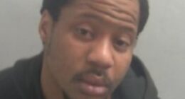 Daniel Odubanjo (pictured) was sentenced to six years in prison after assaulting a woman when trapping her in a train toilet and then assaulting a teenager minutes later