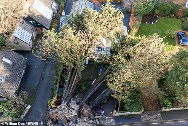 Two large trees have fallen on a house in Truro, breaking through the roof and crushing three cars