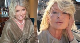 Martha Stewart bought these Armani Eye Tint eyeshadows in 'every color'