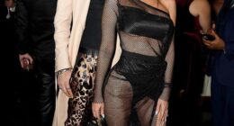 Megan Fox and Machine Gun Kelly will not rekindle the twin flames of romanceas they have opted to focus on co-parenting their child together according to a new report (the former couple are seen in LA back in November 2022)