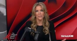 Megyn Kelly hit out at slain ICE protester Alex Pretti for 'stalking, harassing and terrorizing' agents after a video emerged showing him kicking the tail light of one of the agency's SUVs and spitting at agents