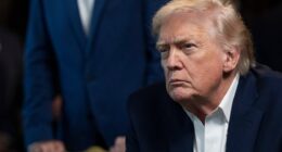 President Donald Trump should be allowed to strike other countries at his discretion, the House Judiciary and Foreign Affairs chairmen told the Daily Mail