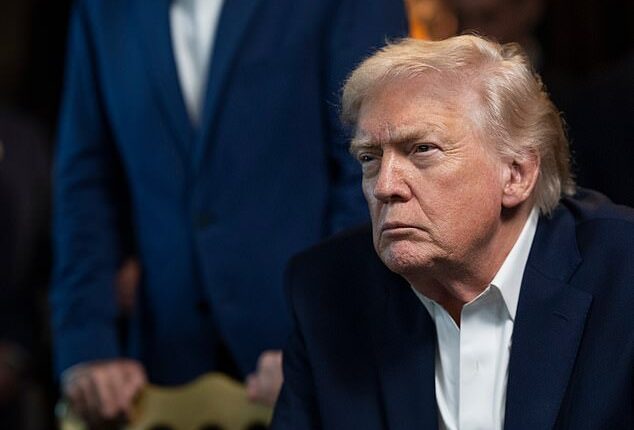 President Donald Trump should be allowed to strike other countries at his discretion, the House Judiciary and Foreign Affairs chairmen told the Daily Mail