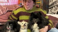 Mickey Rourke is pictured with his dogs Egor, Ivan and Lucky in 2023; Ivan, one of the black and white canines, now has a heart condition requiring a $10,000 surgery