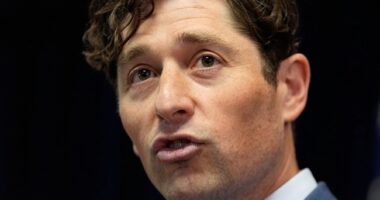 Minnesota and National Police Blow Up That Dem Narrative About ICE Arrest Problems in the State – RedState