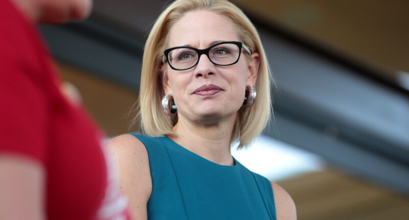 Mom Stands Up To Alleged Homewrecker Kyrsten Sinema