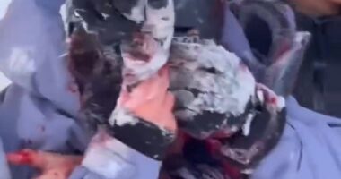 The tourist was helped away clutching her face, which was pouring with blood after the attack