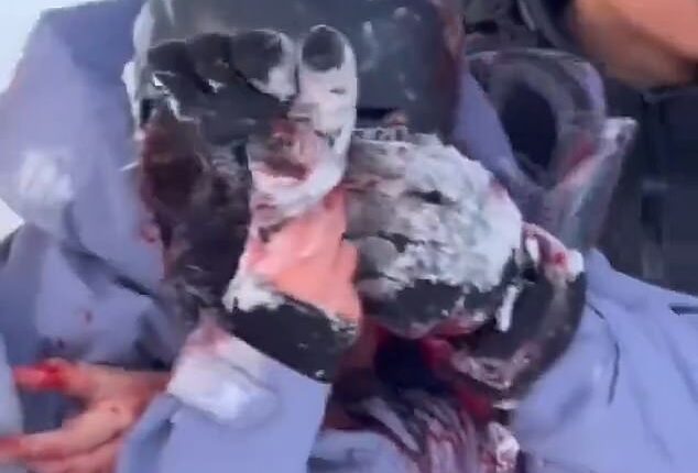 The tourist was helped away clutching her face, which was pouring with blood after the attack