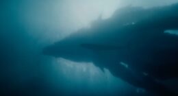 Monarch: Legacy of Monsters Season 2 Trailer Teases Something Scarier Than Kong or Godzilla