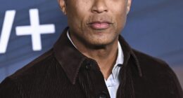 More Details on Lemon Arrest As Bondi Confirms