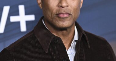 More Details on Lemon Arrest As Bondi Confirms