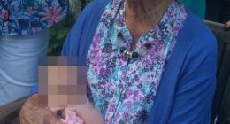 The death of multi-millionaire property tycoon Jeanne MacDougall sparked a bitter war between her son and daughter over her fortune - which is now set to be contested in court