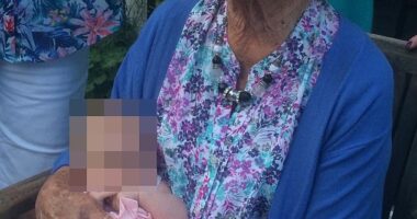 The death of multi-millionaire property tycoon Jeanne MacDougall sparked a bitter war between her son and daughter over her fortune - which is now set to be contested in court