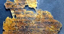 The Dead Sea Scrolls, uncovered in caves near the West Bank between 1947 and 1956, include some of the oldest surviving biblical manuscripts, written in Hebrew, Aramaic, and occasionally Greek