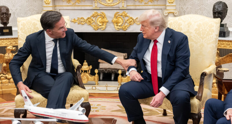 NATO Chief Admits Alliance Would Be in Tatters Without Trump.