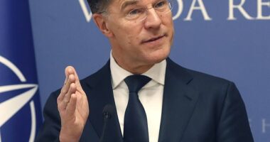 NATO chief Mark Rutte, pictured above on January 12 in Croatia, said on Monday that Arctic security was now ‘a priority’ after Donald Trump declared the US would take Greenland ‘one way or the other’