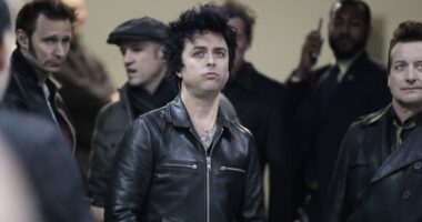 NFL Slaps Half Their Fans in the Face, Adds Leftist, TDS-Riddled Punk Band to Super Bowl Festivities – RedState