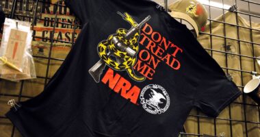 NRA sues its own charity for misusing ‘many millions of dollars’ and ‘hijacking’ logo to build rival group