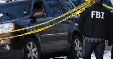 NY TImes Takes Another Try at Analyzing the Shooting Video – HotAir