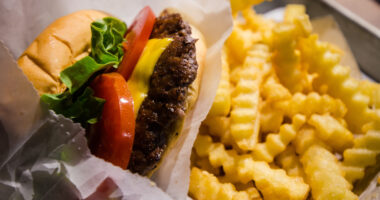 National Ban on Junk Food Ads Comes Into Force.