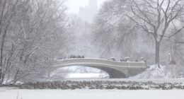 Natural-gas futures are jumping 20%. It will be toughest test in a decade, one analyst says.