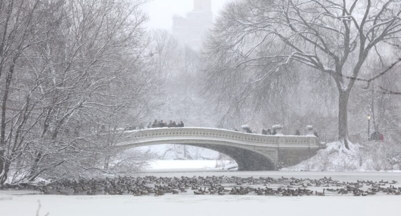 Natural-gas futures are jumping 20%. It will be toughest test in a decade, one analyst says.