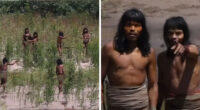 Never-Before-Seen Footage Of Uncontacted Amazonian Tribe Stuns The World, But Many Are Suspicious