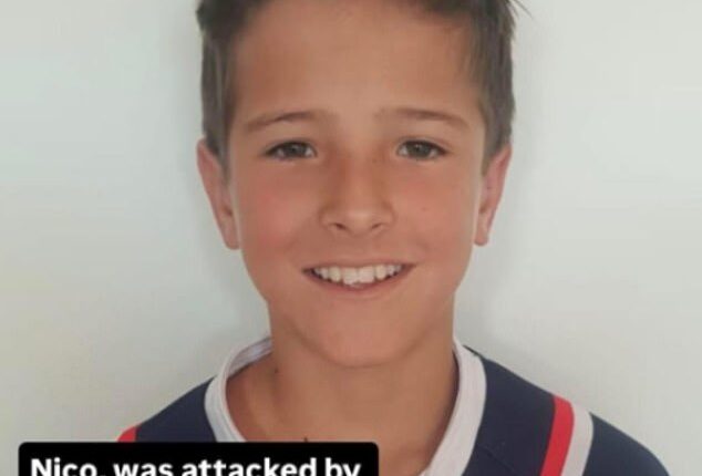 Nico Antic, 12, was swimming with five friends at Nielson Park on Sunday afternoon when he was attacked by a bull shark