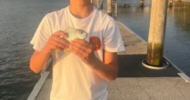 Nico Antic: Heartbreaking update on young boy who was mauled by a shark