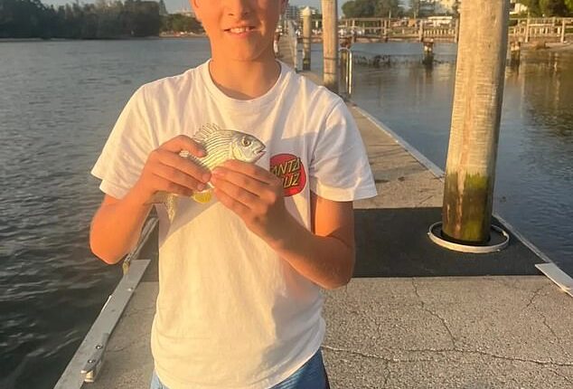 Nico Antic: Heartbreaking update on young boy who was mauled by a shark