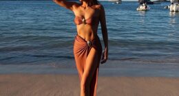 Nina Dobrev didn't appear to be missing ex-fiance Shaun White as she shared more sexy visuals to Instagram to celebrate the new year